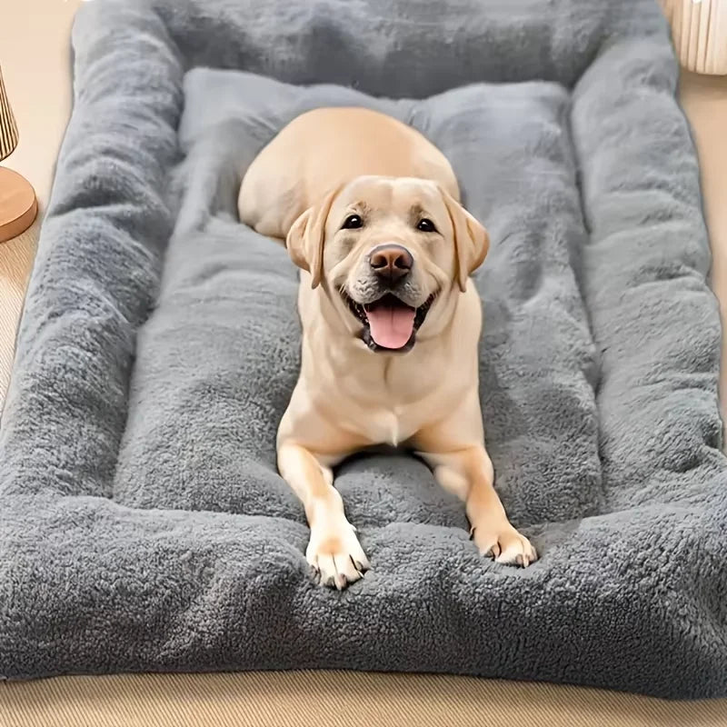 A dog bed with sides on three edges — supplier photograph 7 of 7