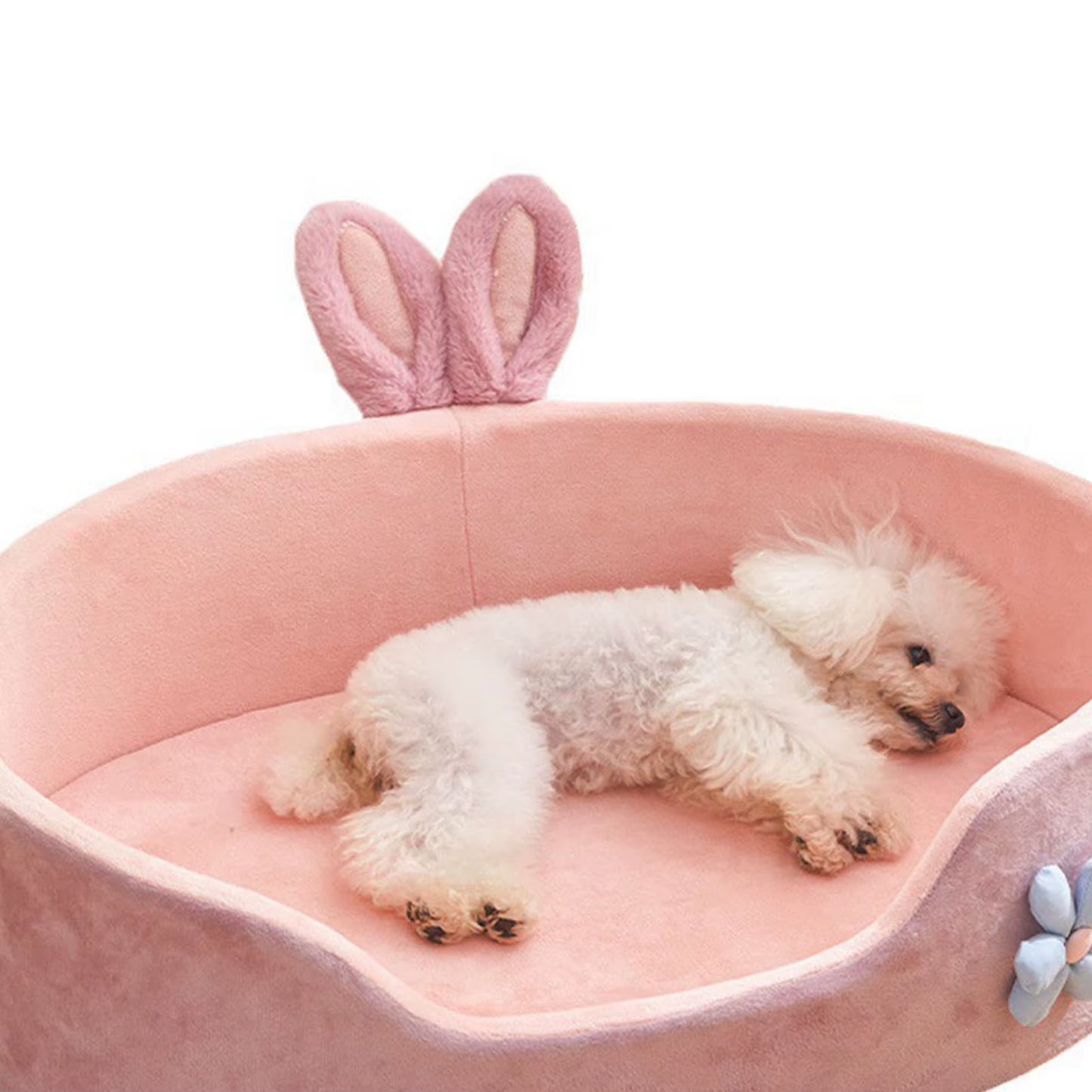 A bolster dog bed — supplier photograph 7 of 7