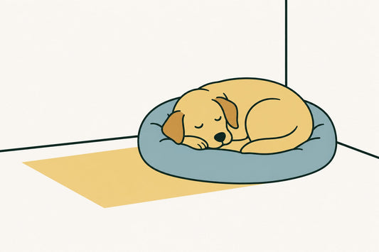 A dog asleep on a bed in a quiet corner of a room