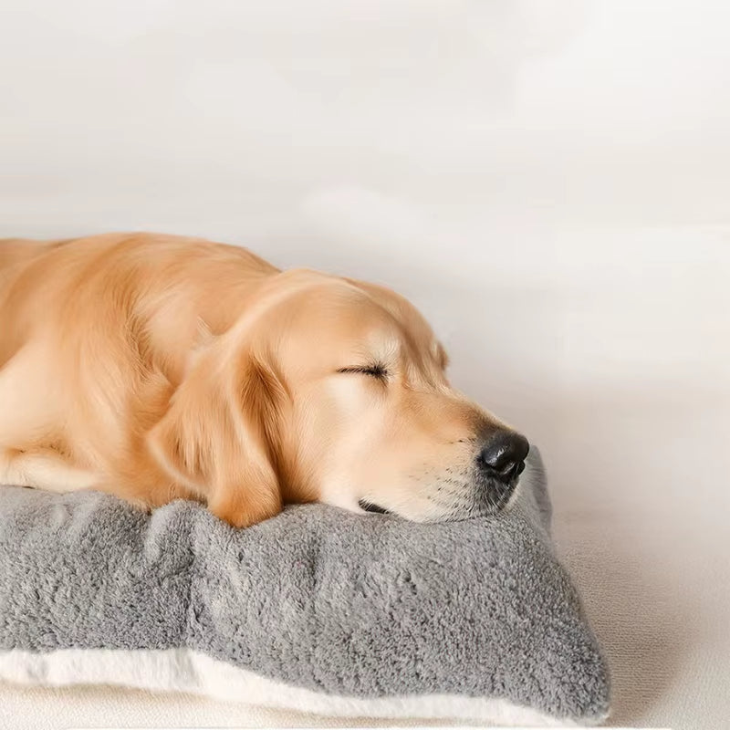 A dog bed with sides on three edges — supplier photograph 6 of 7