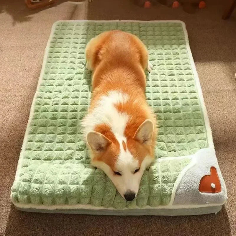 A foam dog bed, washable — supplier photograph 6 of 9