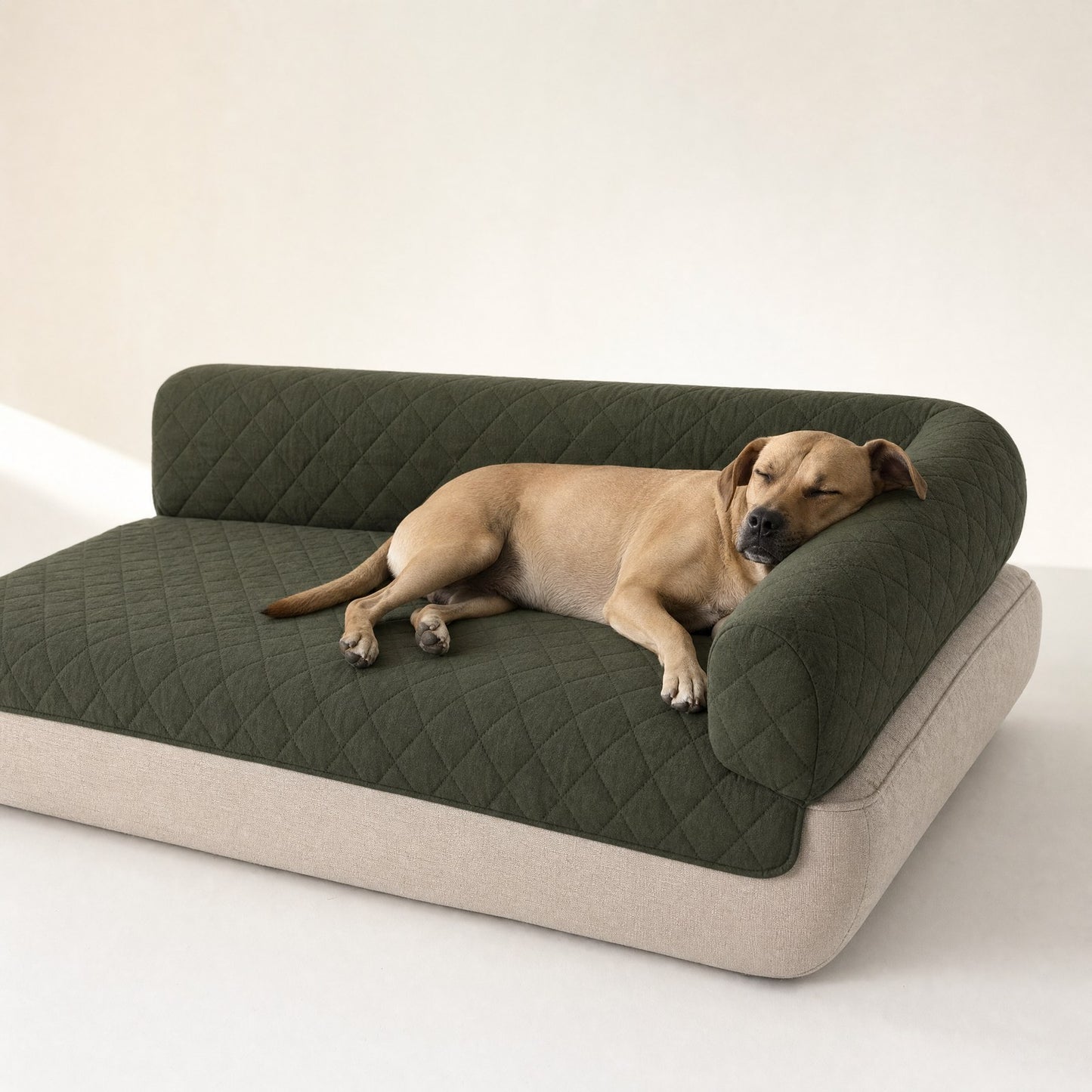 A dog resting its chin on the bolster roll of a moss green couch cover