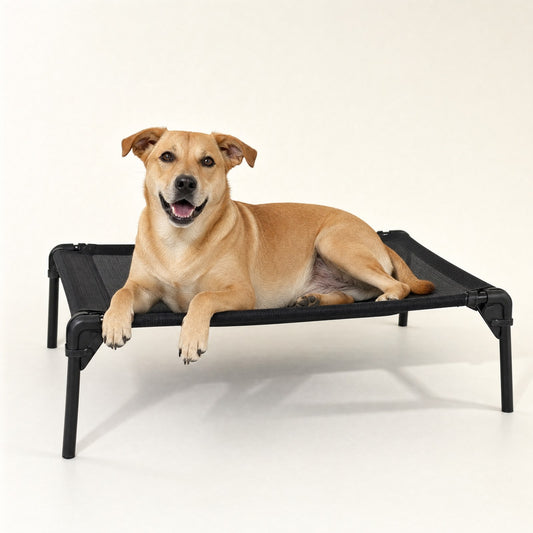 A dog on a folding raised cot, front paws over the edge