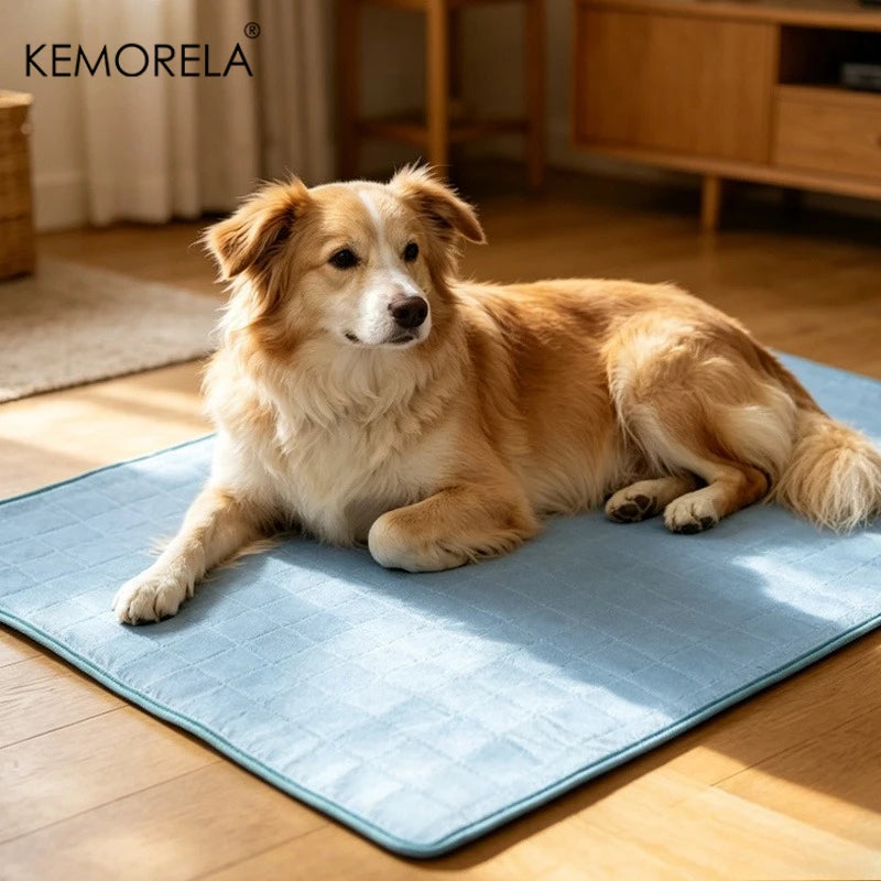 A flat cooling mat for a dog — supplier photograph 10 of 11