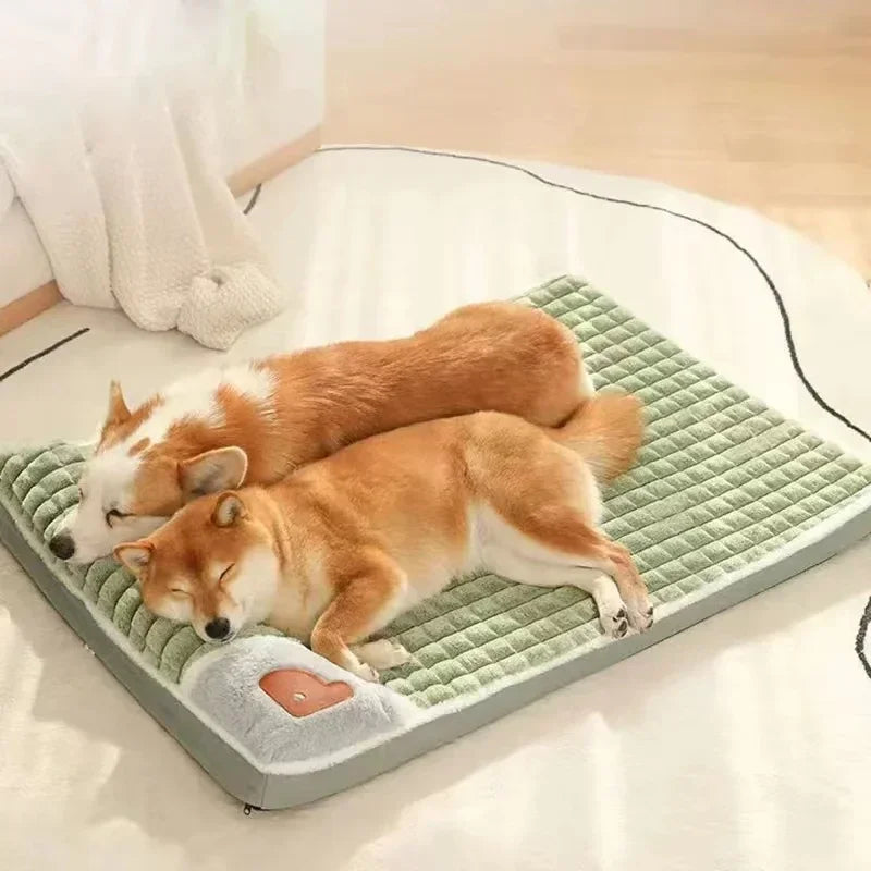 A foam dog bed, washable — supplier photograph 2 of 9