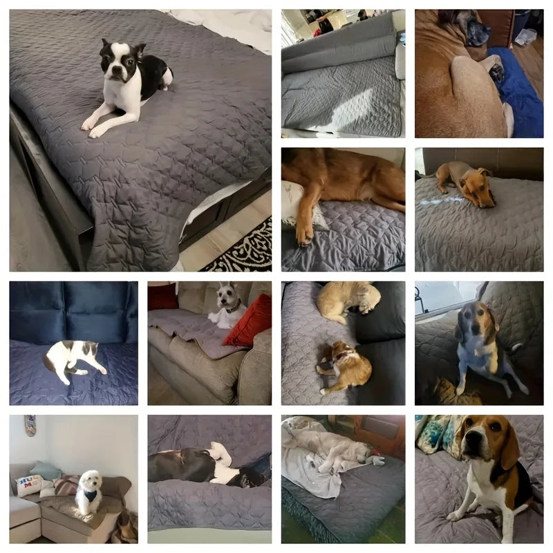 A waterproof quilted sofa dog bed — supplier photograph 7 of 8