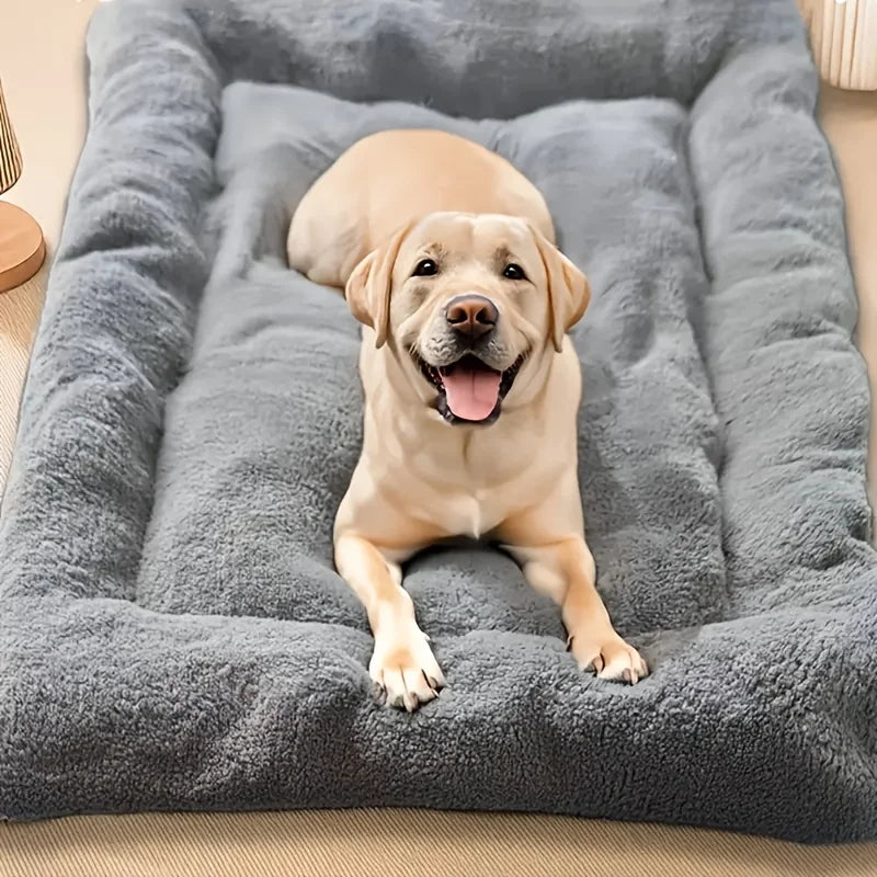 A dog bed with sides on three edges — supplier photograph 2 of 7