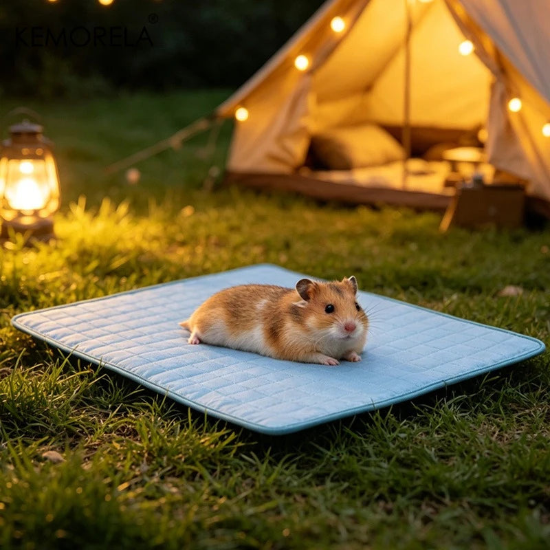 A flat cooling mat for a dog