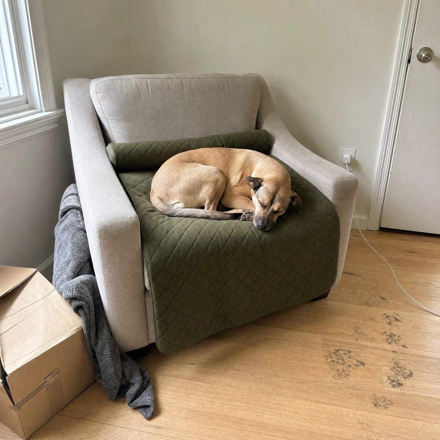 A dog asleep on the cover spread over an armchair