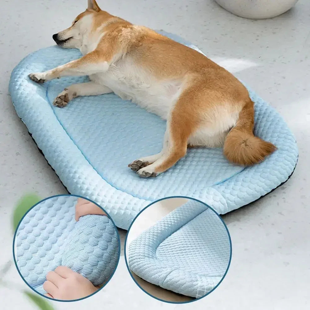 A cooling mesh mat for dogs — supplier photograph 5 of 8