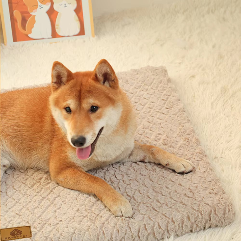 A foam dog bed, waterproof and washable — supplier photograph 5 of 9