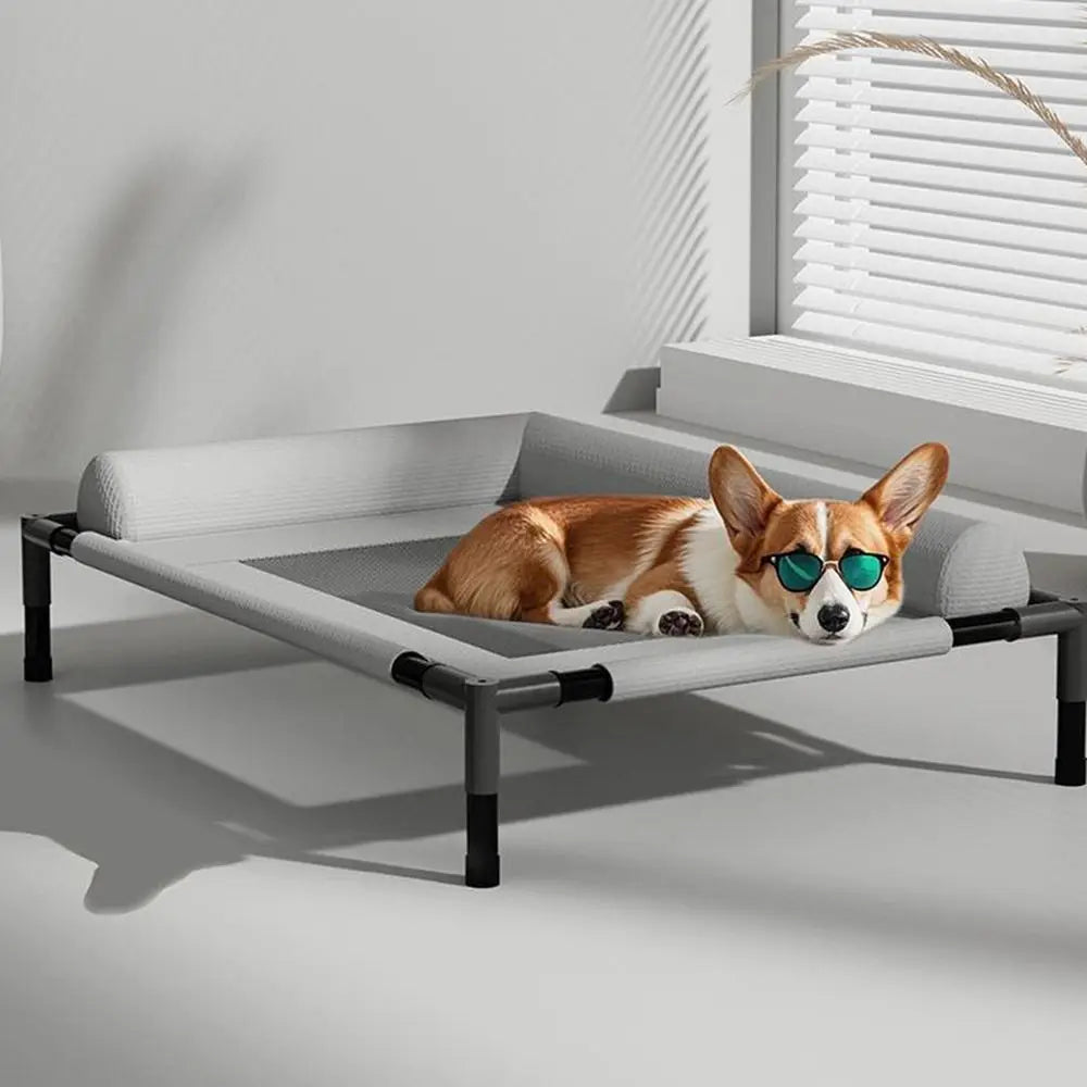 A raised dog bed on legs — supplier photograph 3 of 8