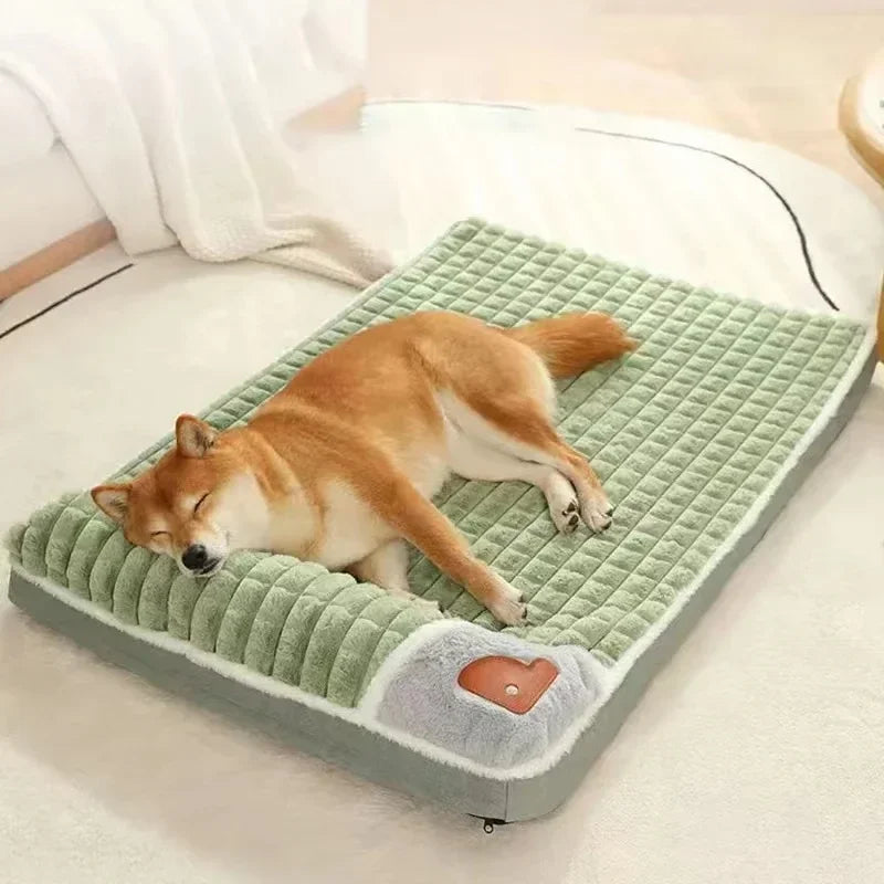 A foam dog bed, washable — supplier photograph 5 of 9