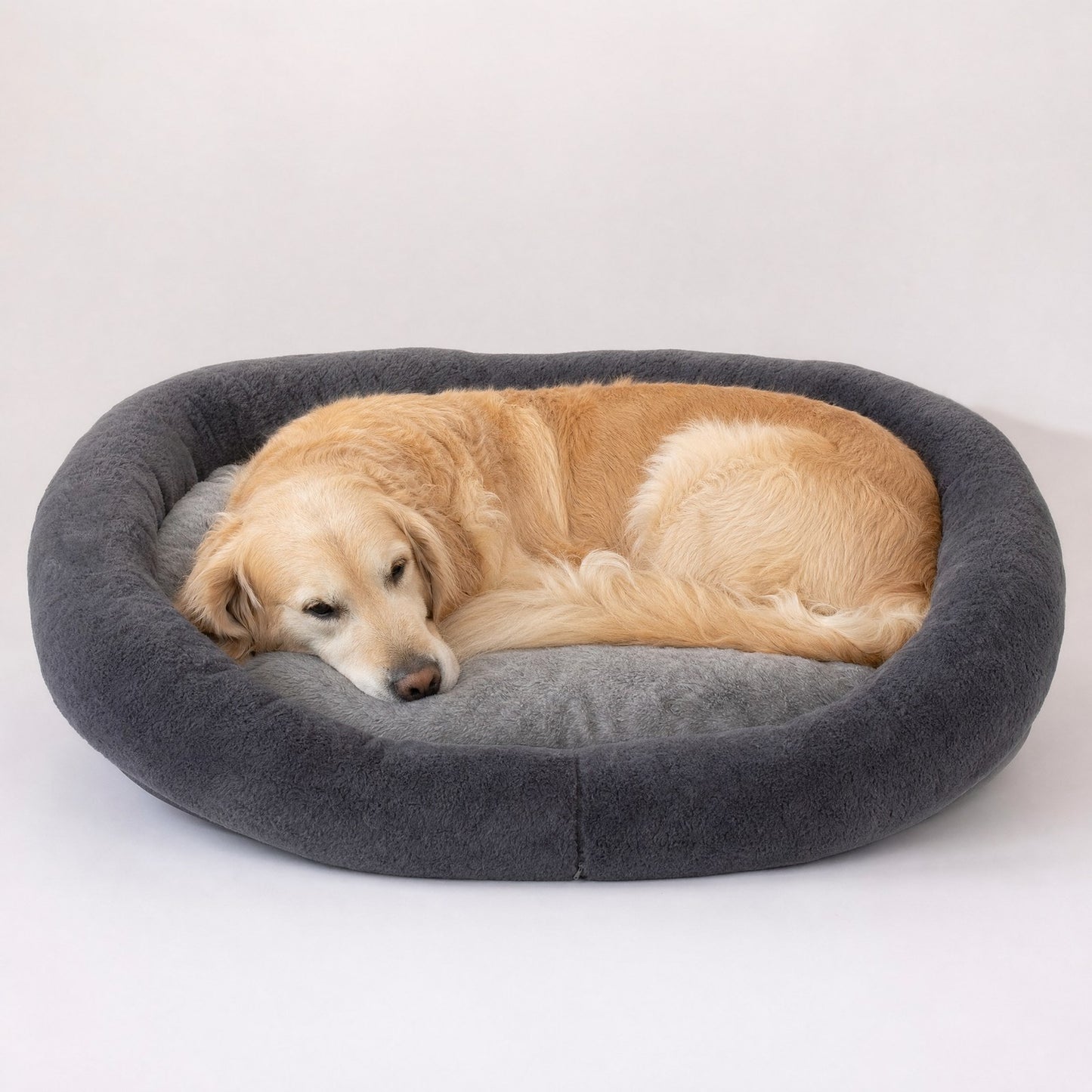 A golden retriever curled into the bed, showing its true size