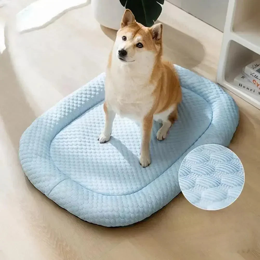 A cooling mesh mat for dogs — supplier photograph 3 of 8