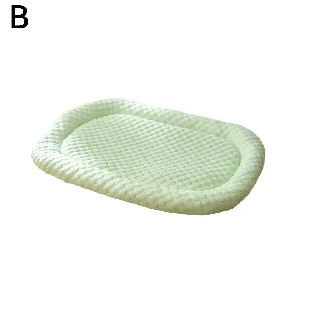 A cooling mesh mat for dogs