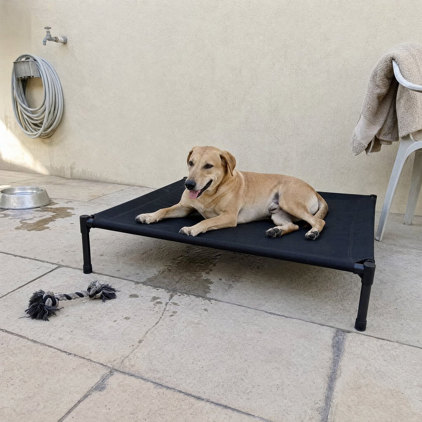 On a hot day the dog lies on the cot, air moving underneath