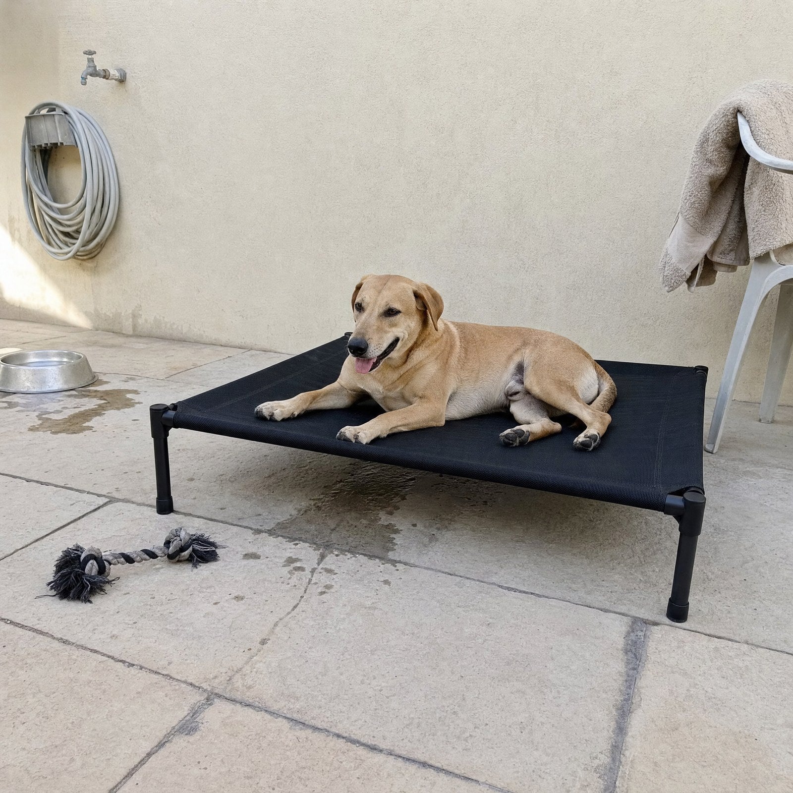 On a hot day the dog lies on the cot, air moving underneath