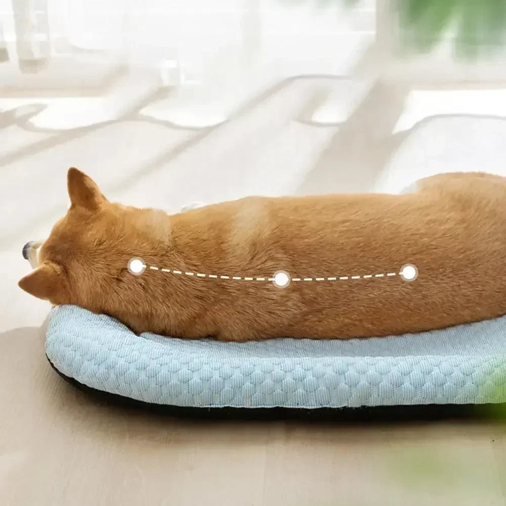 A cooling mesh mat for dogs — supplier photograph 4 of 8