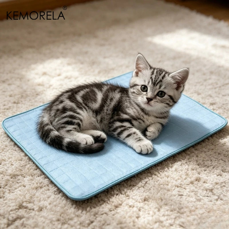 A flat cooling mat for a dog — supplier photograph 9 of 11