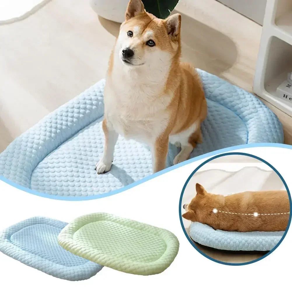 A cooling mesh mat for dogs — supplier photograph 2 of 8