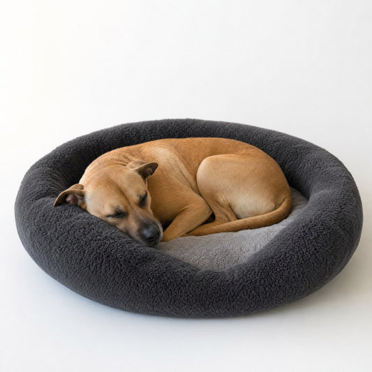 A dog curled up inside an oval plush bed, the rim around its back