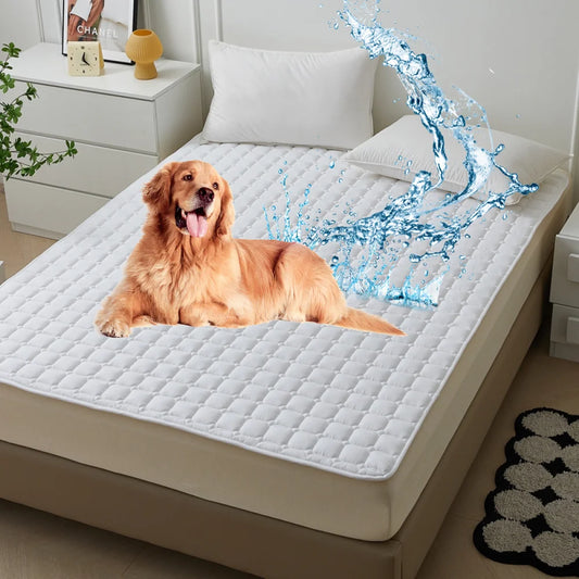 A washable cover for a dog bed, waterproof