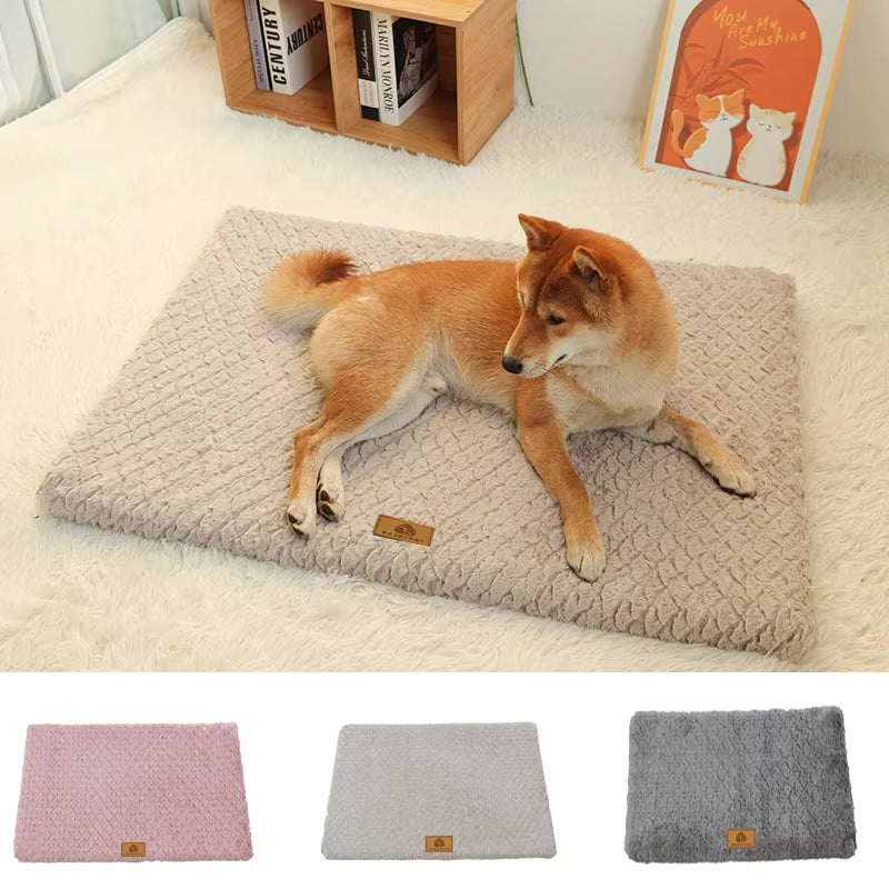 A foam dog bed, waterproof and washable — supplier photograph 2 of 9