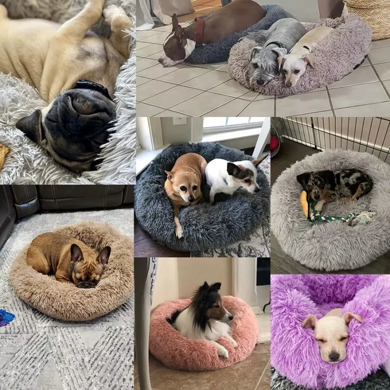 A bright pink plush donut dog bed — supplier photograph 6 of 27