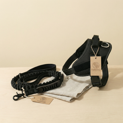 The No-Pull Harness