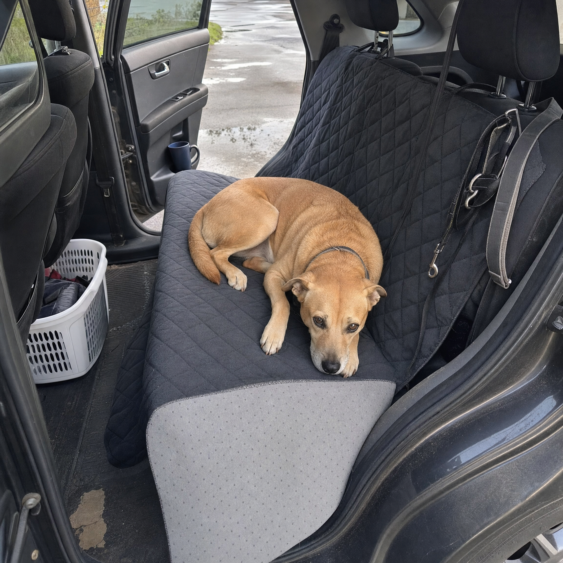 A dog settled on the charcoal quilted cover spread across a car rear bench seat