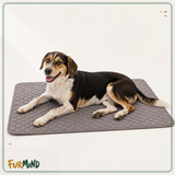 Reusable Dog Blanket for Bed and Car