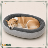 Oval Plush Dog Bed