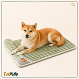Washable Memory Foam Dog Bed