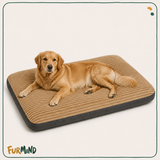 Corduroy Dog Bed