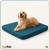 Fitted Quilted Dog Bed Cover