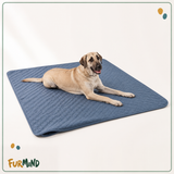 Non-Slip Incontinence Dog Blanket